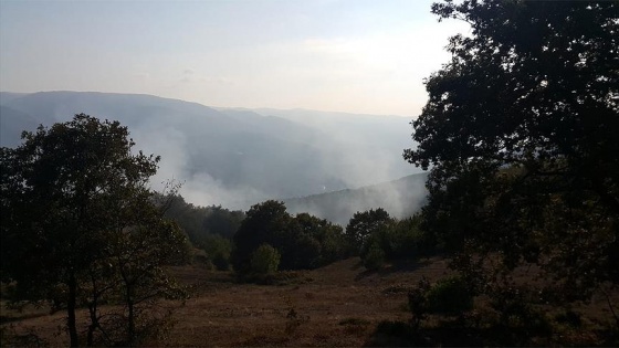 Bolu'da orman yangını