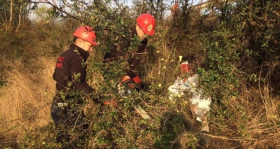 Bolu'da trafik kazası: 4 yaralı