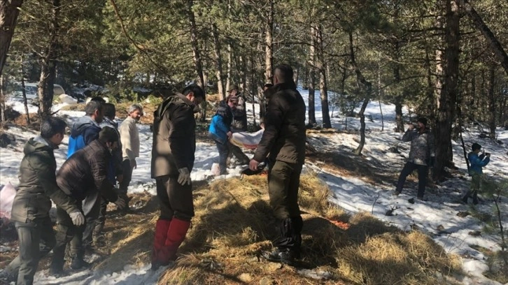 Bolu Dağı'ndaki yılkı atları ve yaban hayvanlarına yem bırakıldı