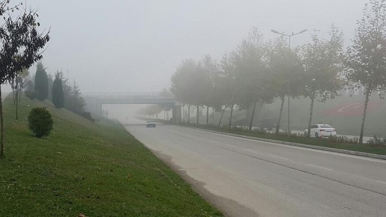 Bolu, Düzce ve Sakarya'da sis trafiği olumsuz etkiledi