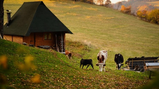 Bosna Hersek'te sonbahar renkleri