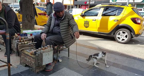 Boyacıyla sokak kedisinin dostluğu görenleri imrendiriyor