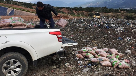 Boyanarak satılmaya çalışılan 1 ton bozuk yer fıstığı imha edildi