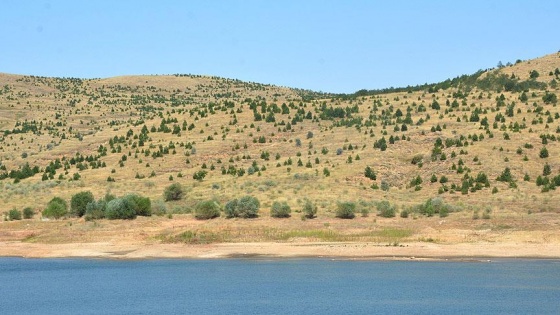 Bozkırın dağlarında 'yeşil vadiler' kuruluyor