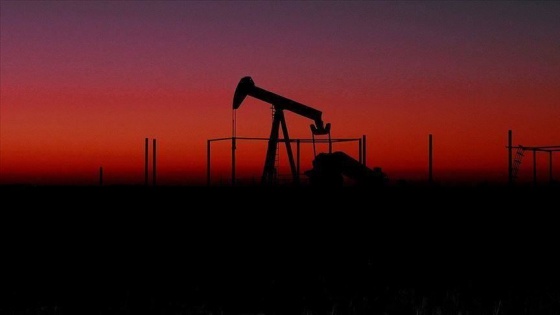 Brent petrolün varili 25 doların altına düştü