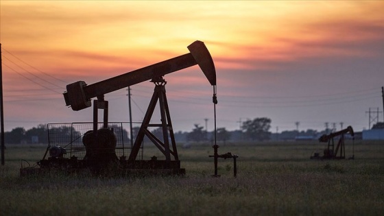Brent petrolün varili 43,61 dolar