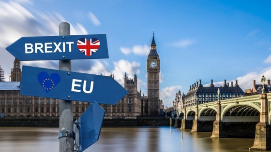 Brexit'te görüş ayrılıkları sürüyor