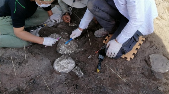 Bu yıl 600&#039;den fazla arkeolojik kazı çalışmasına 64 milyon lira destek sağlanacak