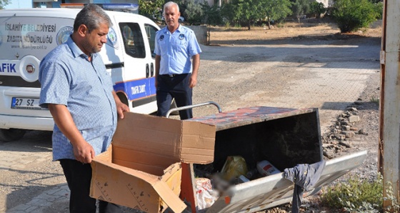 Bunu yapan insan olamaz: Kedileri silahla öldürdüler