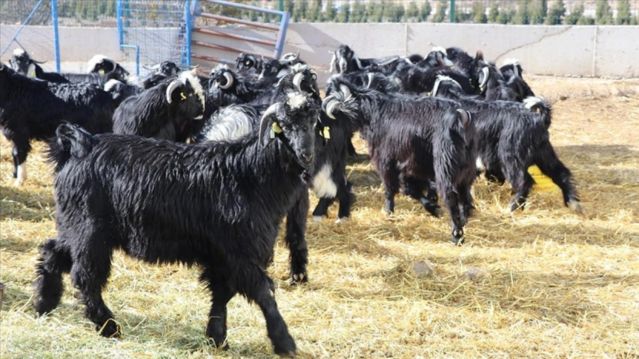 Burdur'da üniversitenin 