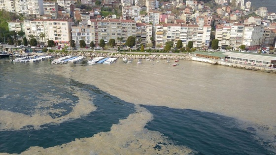 Bursa'da, plankton çoğalması deniz suyu kahverengiye dönüştürdü