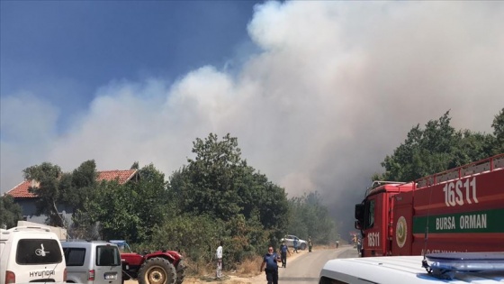 Bursa'da yerleşim bölgesi yakınında orman yangını