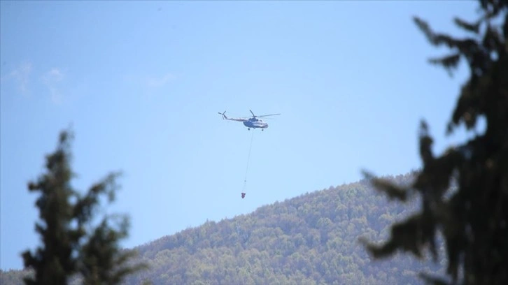 Bursa'da, Uludağ eteklerinde çıkan orman yangını kontrol altına alındı