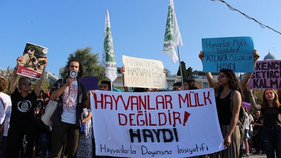 Büyükada'da fayton protestosu