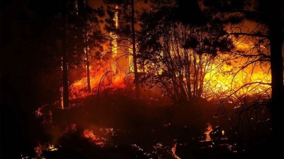 California'da kontrol altına alınamayan orman yangınları etkisini sürdürüyor