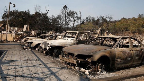 California'daki yangın 1 milyar dolarlık zarara neden oldu