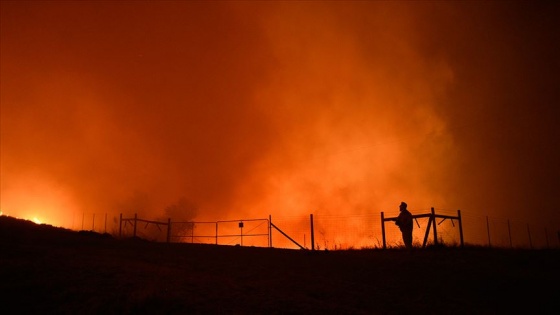 California'nın kuzeyindeki orman yangınında 180 bin kişi tahliye edildi