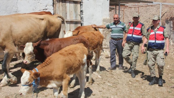 Çalınan hayvanlarını bulan jandarmaya sevgisini sarılarak gösterdi