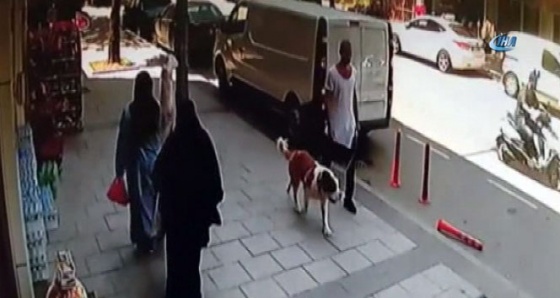 Çalınan köpeğinin yerini söyleyene bin TL ödül veriyor