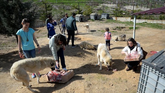 Can dostları için seferber oldular