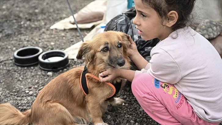 Can dostlarını depremden sonra yerleştiği çadır kentte de yanından ayırmıyor