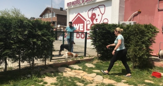 Can dostu köpeklere özel otel hizmeti