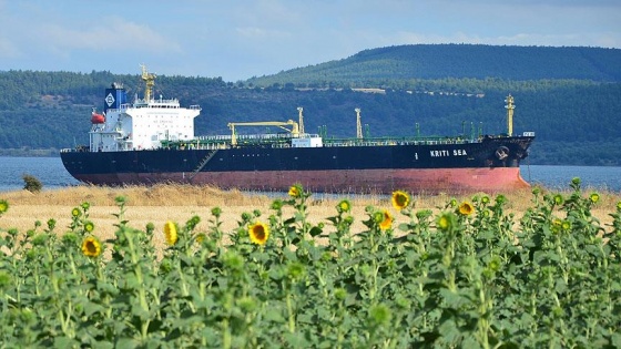 Çanakkale Boğazı'nda gemi karaya oturdu