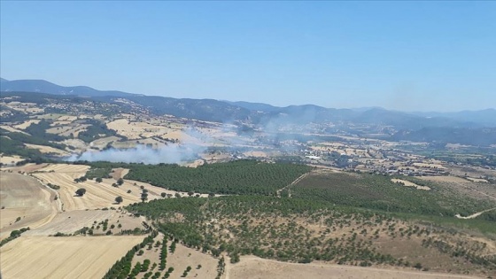 Çanakkale'de çıkan orman yangını kontrol altına alındı