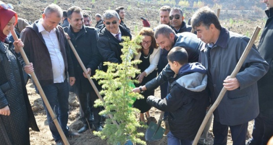 Çanakkale’de 'Ömer Halisdemir Hatıra Ormanı' oluşturuldu