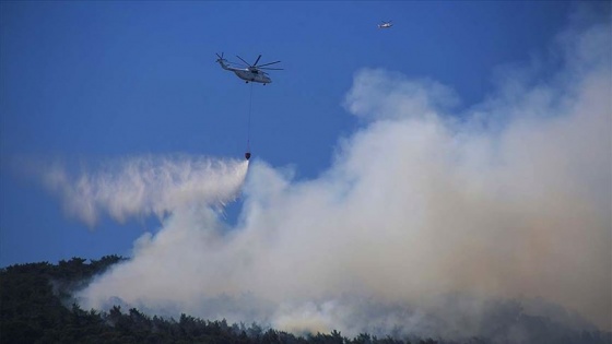 Çanakkale'de orman yangını çıktı