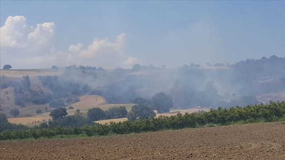 Çanakkale’deki orman yangını kontrol altına alındı