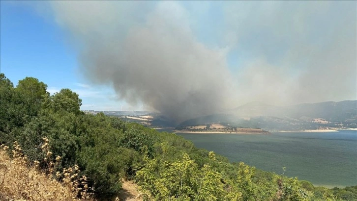 Çanakkale'de tarım arazisinde çıkıp ormanlık alana sıçrayan yangına müdahale ediliyor