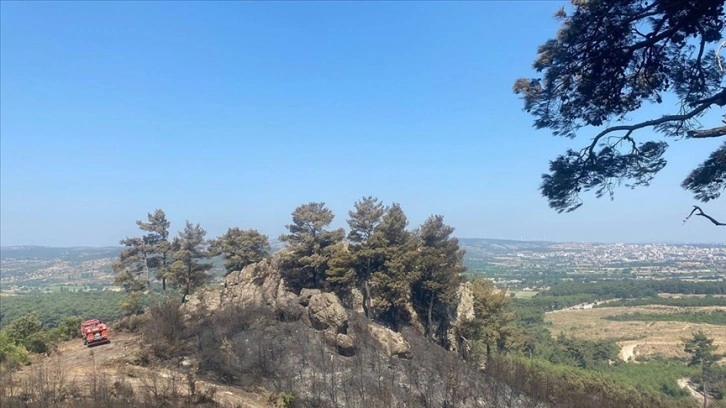 Çanakkale'nin Ayvacık ilçesinde çıkan orman yangını kontrol altına alındı