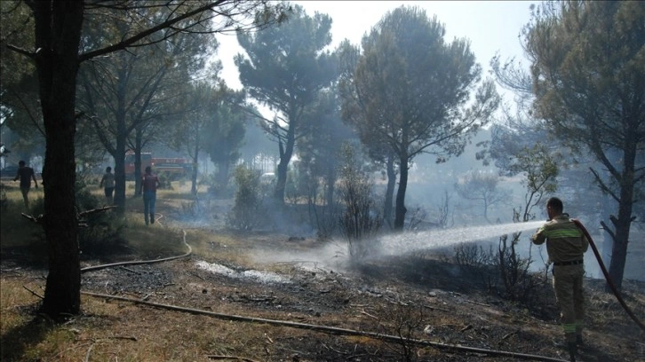 Çanakkale'nin Bayramiç ilçesinde tarım arazisinde çıkan yangın söndürüldü