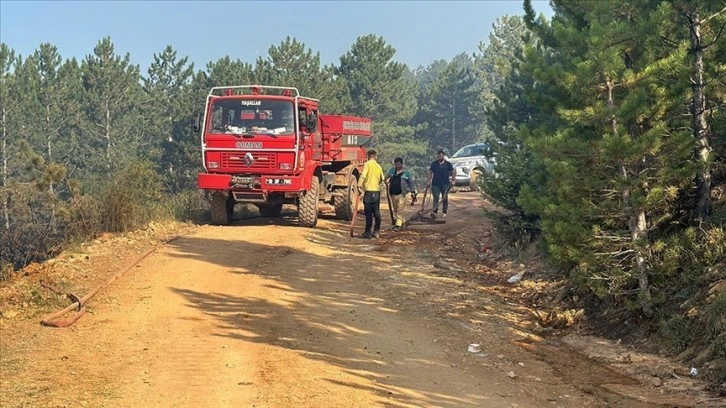 Çankırı'da çıkan orman yangını kontrol altına alındı