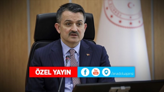 CANLI - Tarım ve Orman Bakanı Pakdemirli 'AA Özel Yayını'nın konuğu