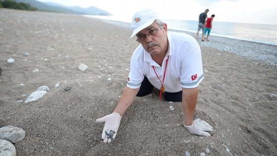 Carettalara 22 yıllık 'vefa nöbeti'