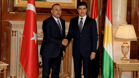 Çavuşoğlu IKBY'nin yeni başkanı Neçirvan Barzani ile görüştü