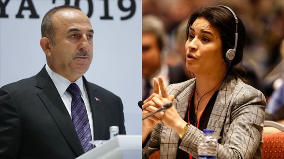 Çavuşoğlu'ndan Fransız parlamentere 'soykırım' cevabı: Fransa kendi karanlık tarihine