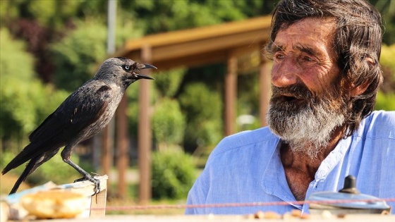 Çay tezgahında 'karga'yla servis ilgi odağı oldu