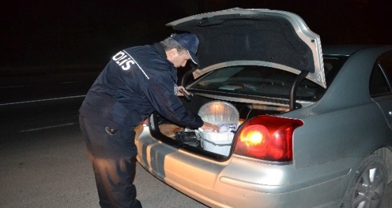 Çevirmeye takılınca polislere serenat yaptılar