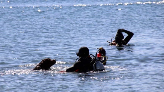 'Çevreci köpek' dalgıçlara destek oldu