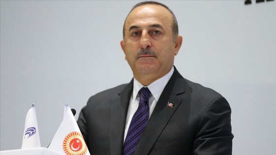 Cezayirlilerden Dışişleri Bakanı Mevlüt Çavuşoğlu'na destek