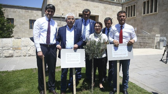 CHP'liler Meclis bahçesine zeytin fidanı dikti
