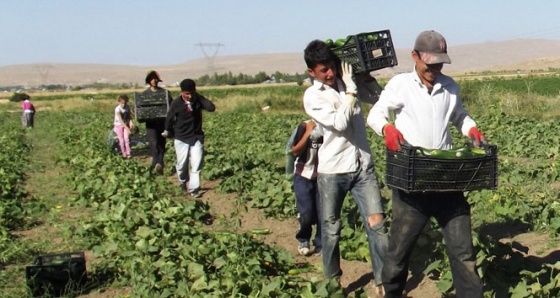 Çiftçi borç yapılandırması istiyor