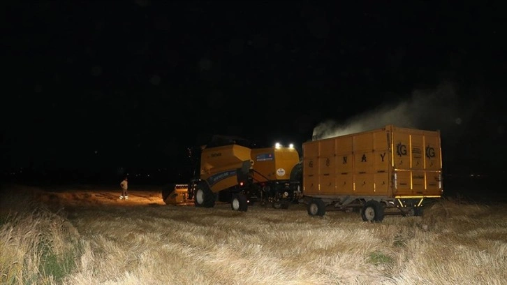 Çiftçilerden aşırı sıcağa 'gece hasadı' çözümü