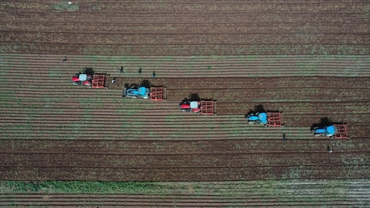 Çiftçilere yaklaşık 55 milyon liralık tarımsal destek ödemesine başlanıyor