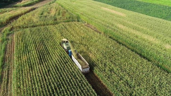 Çiftçilere yaklaşık 972 milyon liralık tarımsal destek ödemesine bugün başlanıyor