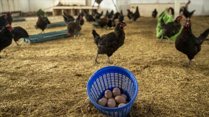 Çiftçilerin eğitileceği Tarım Kampüsü ile tarım ve hayvancılık verimli yapılacak