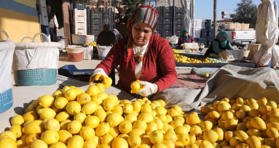 Kadın çiftçiler Şekerbank'ın desteğiyle girişimci oluyor